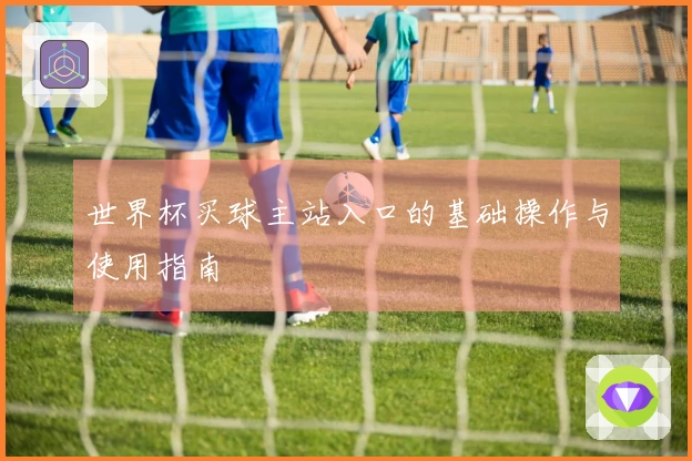 世界杯买球主站入口的基础操作与使用指南