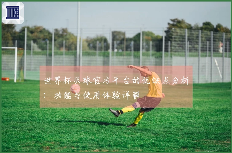 世界杯买球官方平台的优缺点分析：功能与使用体验详解
