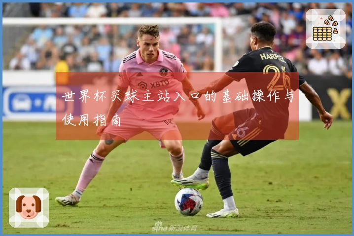 世界杯买球主站入口的基础操作与使用指南