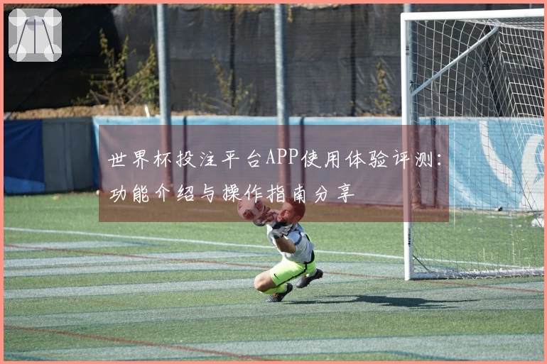 世界杯投注平台APP使用体验评测：功能介绍与操作指南分享