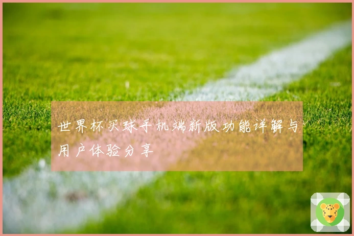 世界杯买球手机端新版功能详解与用户体验分享
